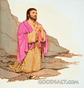 The Baptist at Prayer