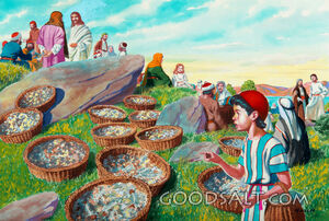 The Boy's Lunch - Twelve Baskets of Leftovers