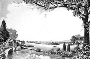 The Bridge