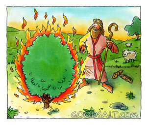 The Burning Bush