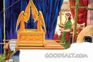 The Craftsman and the Ark