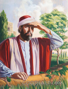 The Father Is Searching