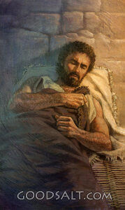 The Gift of Jesus Was Announced