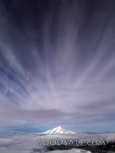 The Glory of Creation