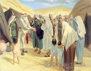 The Grapes of Eschol