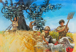 The Harvest
