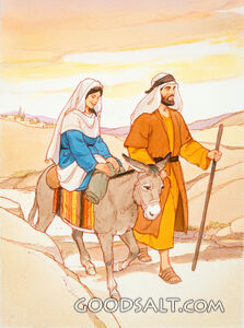The Journey