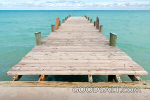 The Long Pier Looking Into the Future