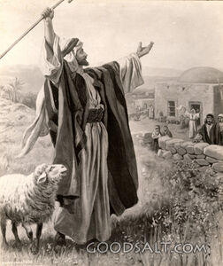 The Lost Sheep & The Lost Coin