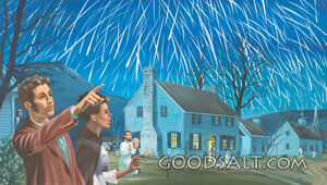 The Night the Stars Fell