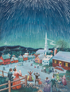 The Night the Stars Fell