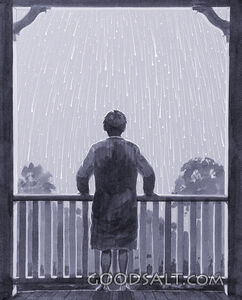 The Night the Stars Fell