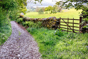 The Path and the Gate
