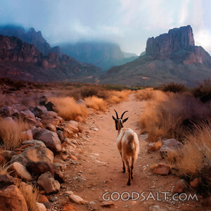 The Scapegoat