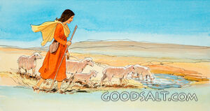 The Shepherdess