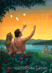 The Sixth and Seventh Days