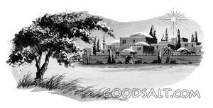 The Star of Bethlehem