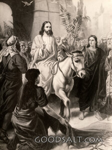 The Triumphal Entry