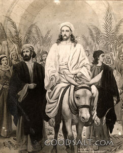 The Triumphal Entry