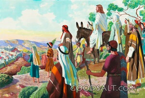 The Triumphal Entry - Viewing the Temple