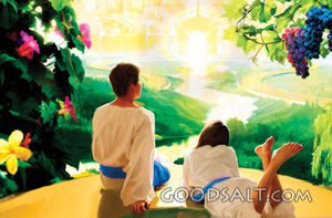 The View of Paradise