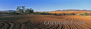 Tilled Earth