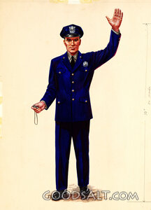 Traffic Policeman