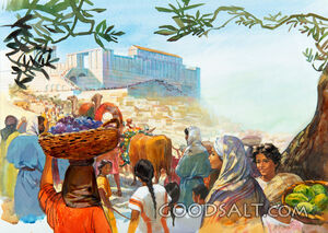 Traveling to Jerusalem