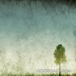 Tree on Texture Background