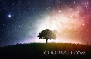 Tree With Space Background