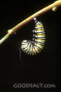 ebsps0540