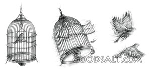 Two Birds in a Cage Escape