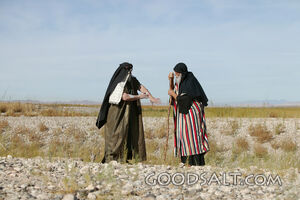 Two Isrealites in Desert