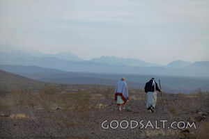 Two Men Walking in a Hazy Desert