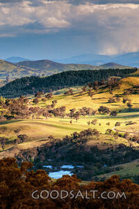 very green roling country hills