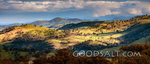 very green roling country hills