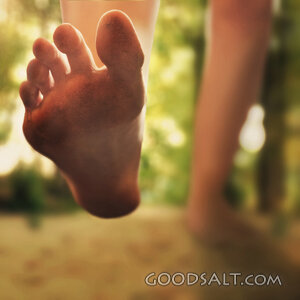 Walking Through the Forest