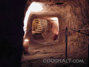 Warren's Shaft Tunnel.jpg
