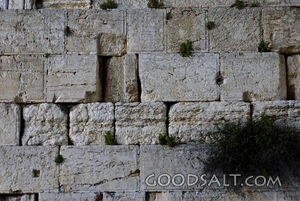 Western Wall Herodian Stones at Night.jpg