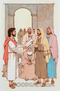 What the Scroll Said