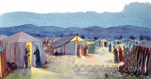 Wilderness Camp at Night