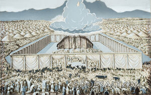 Wilderness Sanctuary