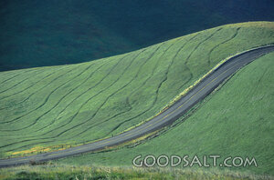 Winding Road