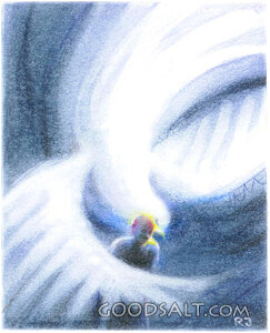 Wings of White Dove Protect