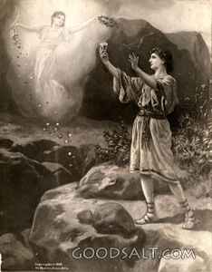 Woes of Intemperance