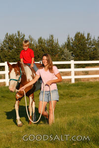Woman leading red American Paint Horse with little boy ridin