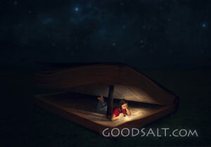 Woman Reads Inside a Bible