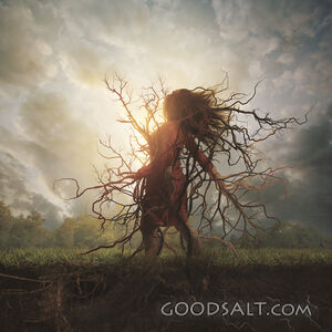 Woman Rooted Into the Ground