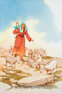 Woman Shepherd Watching Her Sheep