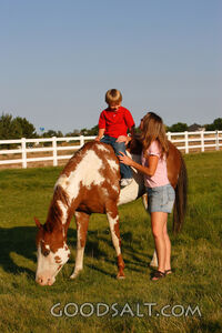 Woman smiling up at little boy on horseback.